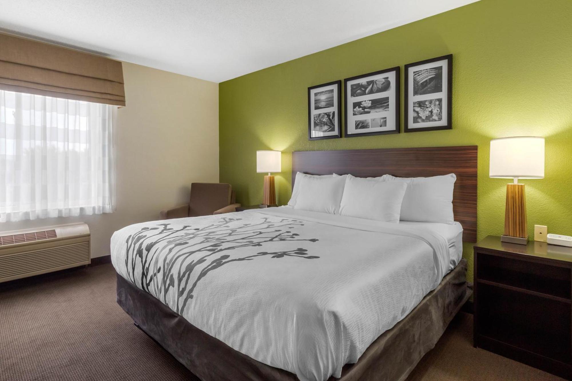 Sleep Inn & Suites Allendale Phòng bức ảnh